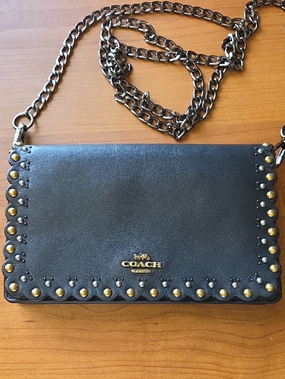 Coach Hayden Foldover Clutch with Scallop Rivets Crossbody Chain
